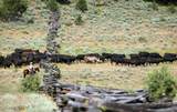0 Fishhole Creek Road - Photo 26