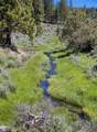 0 Fishhole Creek Road - Photo 27