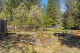 1630 Powell Creek Road - Photo 61