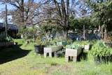 119 Patton Bar Road - Photo 12