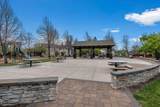 21248 Lily Way - Photo 26