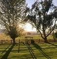 46064 Schoolhouse Road - Photo 6
