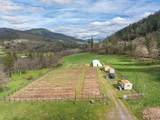 3998 Little Applegate Road - Photo 66