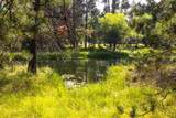 17195 Blue Heron Drive - Photo 17