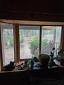 1005 Naue Way - Photo 7