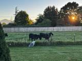 826 Oak Grove Road - Photo 49