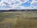 29700 Ivory Pine Road - Photo 41