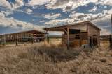 25907 Cooper Street - Photo 28