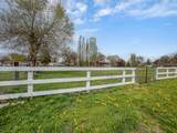 2640 Kane Street - Photo 24