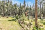 707 Mcmullen Creek Road - Photo 40