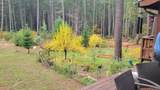 707 Mcmullen Creek Road - Photo 52