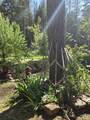 707 Mcmullen Creek Road - Photo 54