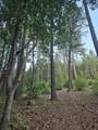 707 Mcmullen Creek Road - Photo 55