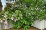 115 California Street - Photo 44