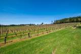 25357 High Pass Road - Photo 41