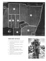 25357 High Pass Road - Photo 43