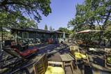 332 Rene Drive - Photo 6
