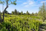 6138 Olson Mountain Way - Photo 10