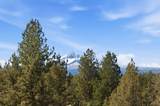70070 Meadow View Road - Photo 11