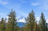 70070 Meadow View Road - Photo 9