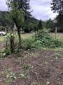161 Evans Creek Road - Photo 21
