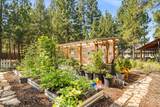 14597 Bluegrass Loop - Photo 48