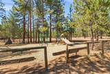 14597 Bluegrass Loop - Photo 57