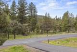 1139 Paper Birch Way - Photo 23
