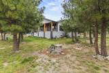 1139 Paper Birch Way - Photo 4