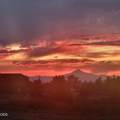 8974 Copley Road - Photo 62