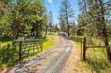 16445 Meadows Road - Photo 38