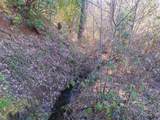 5025 Lane Creek Road - Photo 26