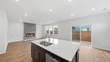 21237 Pelee Drive - Photo 15
