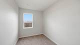 21237 Pelee Drive - Photo 17