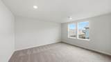 21237 Pelee Drive - Photo 19