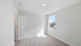 21237 Pelee Drive - Photo 29