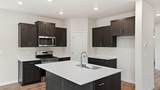 21237 Pelee Drive - Photo 9
