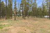 52935 Meadow Lane - Photo 19