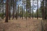 157 Black Crater Avenue - Photo 7