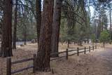157 Black Crater Avenue - Photo 9