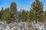 18945 Macalpine Loop - Photo 8