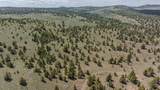 41225 Van Lake Road - Photo 159