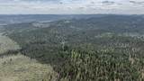41221 Van Lake Road - Photo 173
