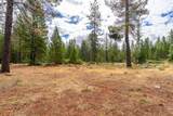 755 Rough Ready Creek Road - Photo 19