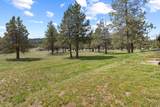 1164 Paper Birch Way - Photo 72