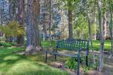 60730 Breckenridge Street - Photo 35