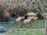 17190 Wood Duck Court - Photo 47