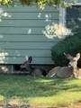 17190 Wood Duck Court - Photo 49