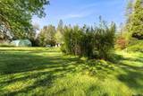 4255 Williams Highway - Photo 49