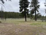 32311 Bobwhite Drive - Photo 14
